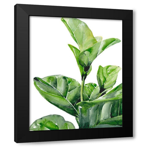 Fiddle Fig I Black Modern Wood Framed Art Print by Parker, Jennifer Paxton