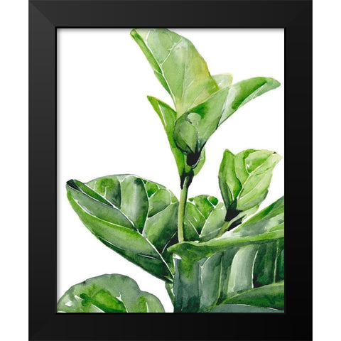 Fiddle Fig I Black Modern Wood Framed Art Print by Parker, Jennifer Paxton