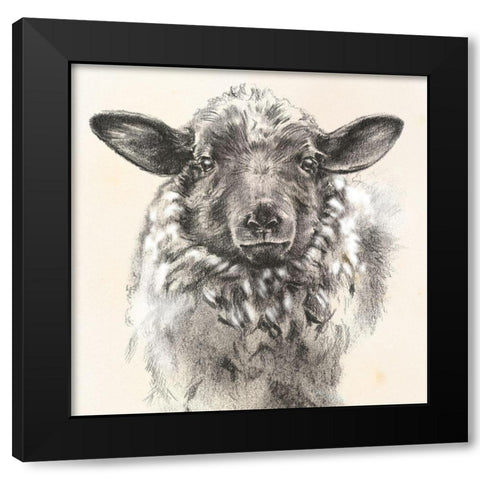 Farm Portrait II Black Modern Wood Framed Art Print by Parker, Jennifer Paxton