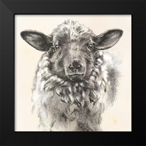 Farm Portrait II Black Modern Wood Framed Art Print by Parker, Jennifer Paxton