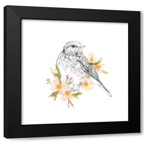 Robin Sketch I Black Modern Wood Framed Art Print with Double Matting by Scarvey, Emma