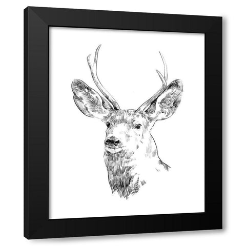 Young Buck Sketch IV Black Modern Wood Framed Art Print with Double Matting by Scarvey, Emma