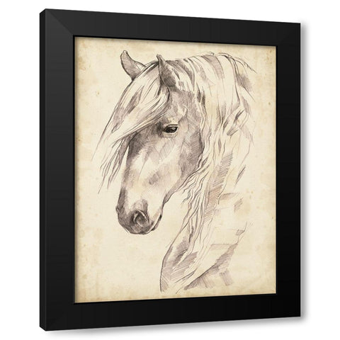 Horse Portrait Sketch II Black Modern Wood Framed Art Print by Parker, Jennifer Paxton