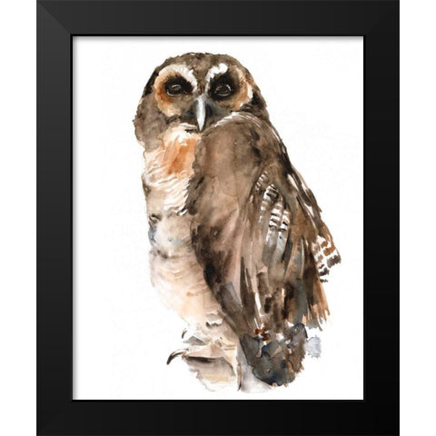 Watercolor Owl I Black Modern Wood Framed Art Print by Parker, Jennifer Paxton