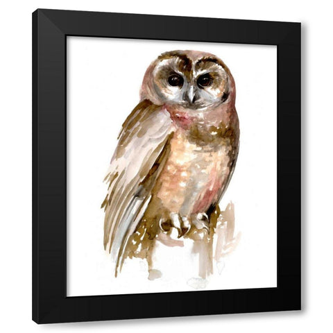 Watercolor Owl II Black Modern Wood Framed Art Print by Parker, Jennifer Paxton