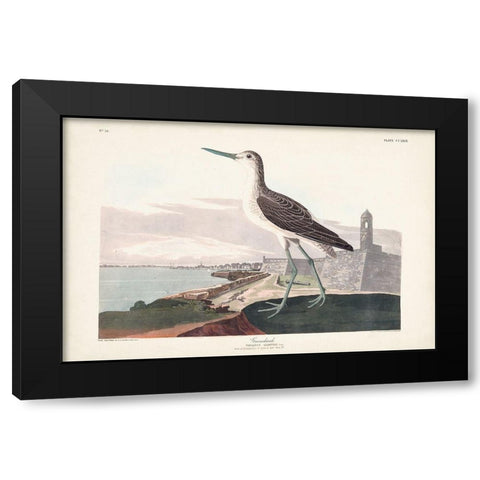 Pl. 269 Greenshank Black Modern Wood Framed Art Print with Double Matting by Audubon, John James
