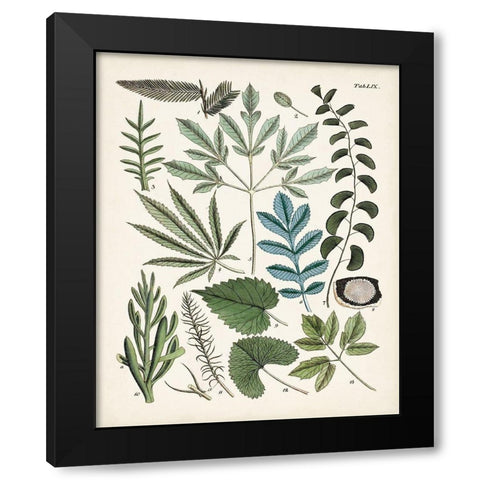Fanciful Ferns VII Black Modern Wood Framed Art Print with Double Matting by Unknown