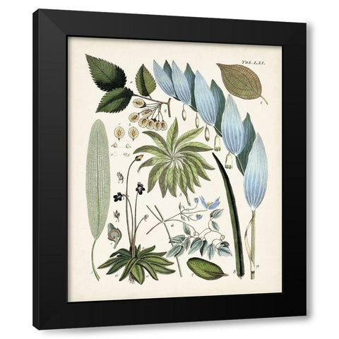 Fanciful Ferns IX Black Modern Wood Framed Art Print with Double Matting by Unknown