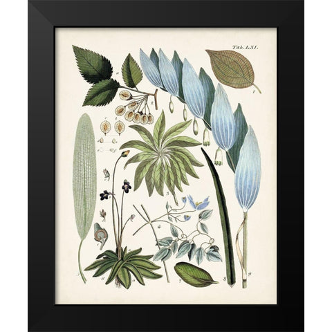 Fanciful Ferns IX Black Modern Wood Framed Art Print by Unknown