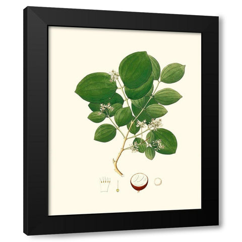 Spring Green Foliage I Black Modern Wood Framed Art Print with Double Matting by Unknown