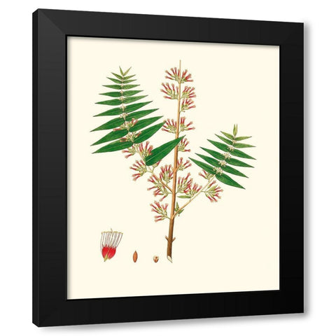 Spring Green Foliage VI Black Modern Wood Framed Art Print with Double Matting by Unknown