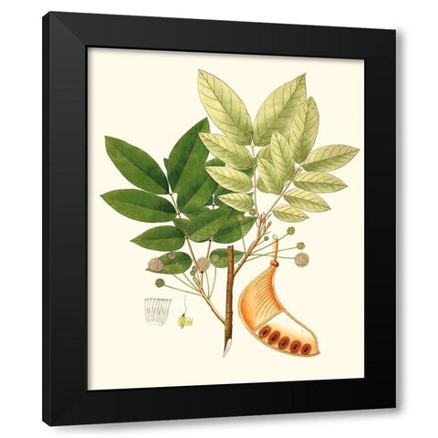Spring Green Foliage IX Black Modern Wood Framed Art Print with Double Matting by Unknown