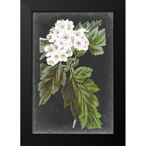 Dramatic White Flowers IV Black Modern Wood Framed Art Print by Vision Studio