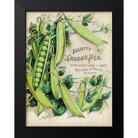 Antique Seed Packets V Black Modern Wood Framed Art Print by Unknown