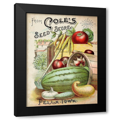 Antique Seed Packets VI Black Modern Wood Framed Art Print with Double Matting by Unknown