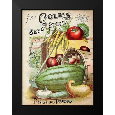 Antique Seed Packets VI Black Modern Wood Framed Art Print by Unknown