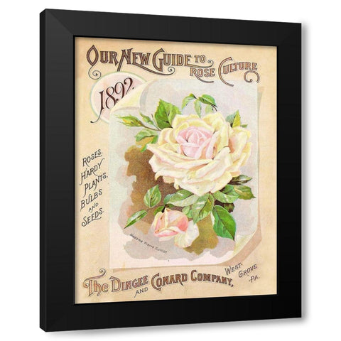 Antique Seed Packets IX Black Modern Wood Framed Art Print with Double Matting by Unknown