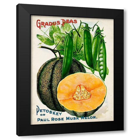 Antique Seed Packets X Black Modern Wood Framed Art Print by Unknown
