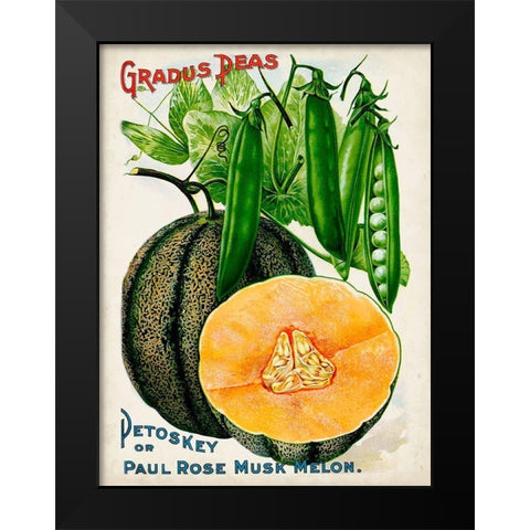 Antique Seed Packets X Black Modern Wood Framed Art Print by Unknown