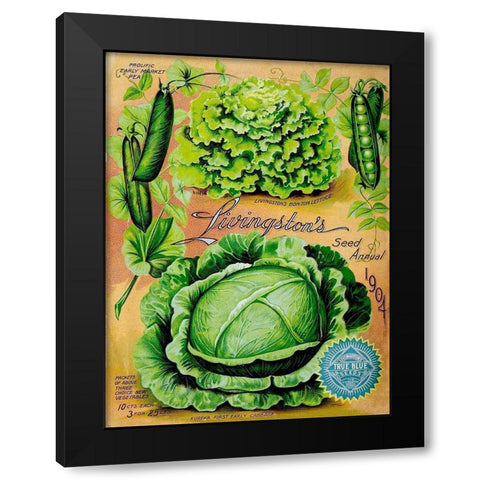Antique Seed Packets XII Black Modern Wood Framed Art Print by Unknown