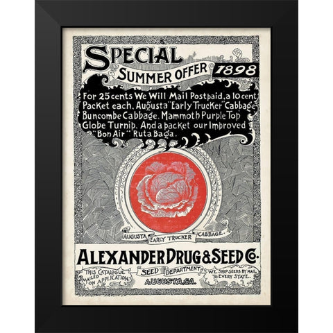 Antique Seed Packets XIII Black Modern Wood Framed Art Print by Unknown