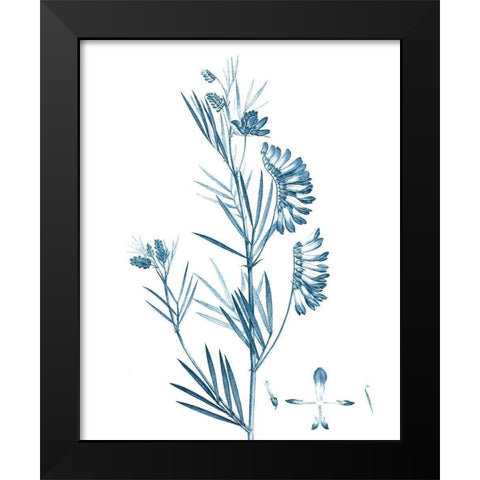 Antique Botanical in Blue IX Black Modern Wood Framed Art Print by Vision Studio