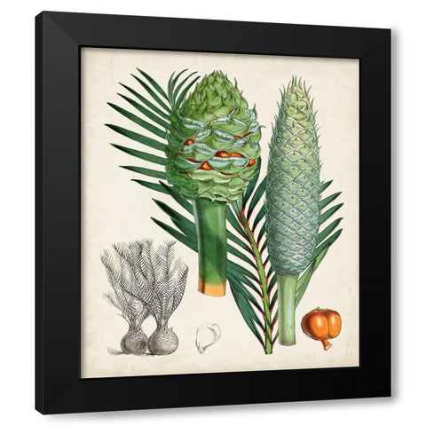 Sago Palms I Black Modern Wood Framed Art Print with Double Matting by Curtis