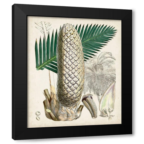 Sago Palms II Black Modern Wood Framed Art Print with Double Matting by Curtis