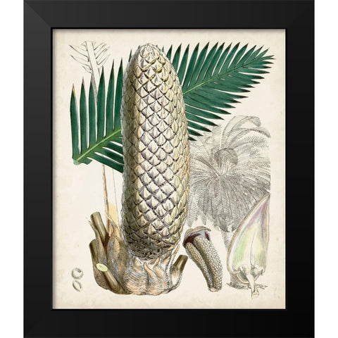 Sago Palms II Black Modern Wood Framed Art Print by Curtis