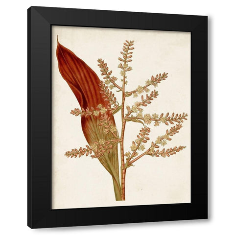 Muted Botanicals I Black Modern Wood Framed Art Print with Double Matting by Curtis