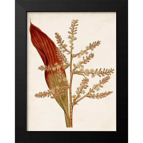 Muted Botanicals I Black Modern Wood Framed Art Print by Curtis