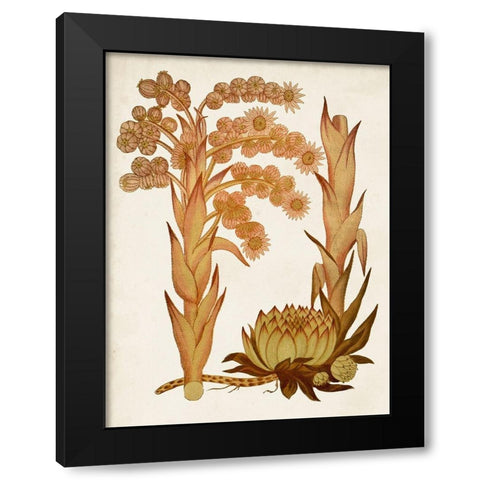 Muted Botanicals II Black Modern Wood Framed Art Print by Curtis