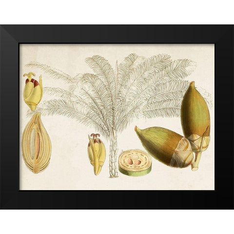 Tropical Foliage and Fruit VIII Black Modern Wood Framed Art Print by Curtis
