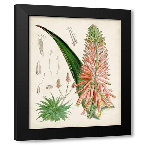 Delicate Tropicals I Black Modern Wood Framed Art Print with Double Matting by Curtis
