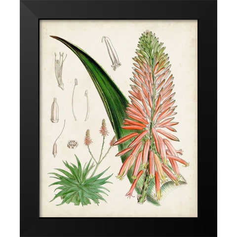 Delicate Tropicals I Black Modern Wood Framed Art Print by Curtis