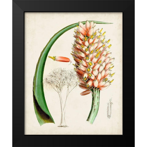 Delicate Tropicals III Black Modern Wood Framed Art Print by Curtis
