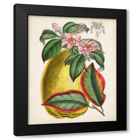 Delicate Tropicals V Black Modern Wood Framed Art Print by Curtis