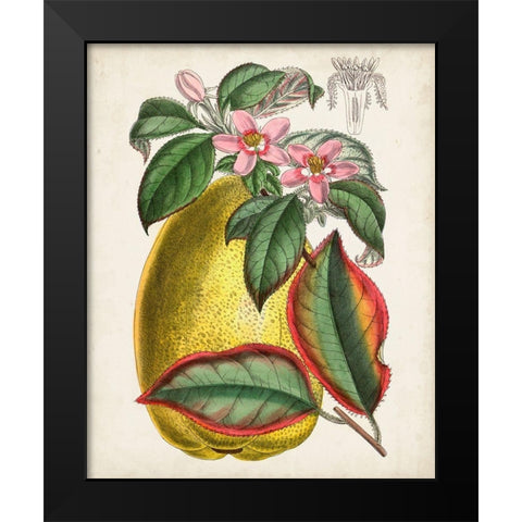 Delicate Tropicals V Black Modern Wood Framed Art Print by Curtis