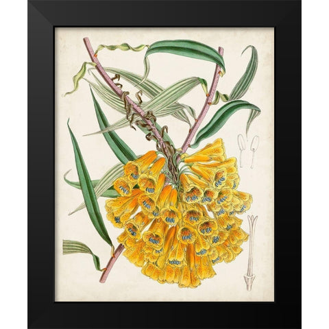 Delicate Tropicals VI Black Modern Wood Framed Art Print by Curtis