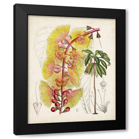 Delicate Tropicals VII Black Modern Wood Framed Art Print with Double Matting by Curtis