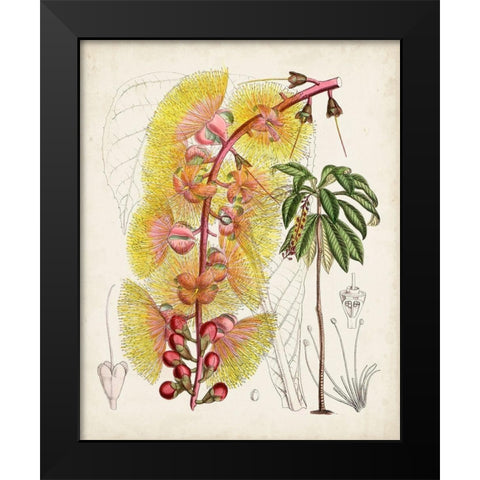 Delicate Tropicals VII Black Modern Wood Framed Art Print by Curtis