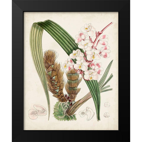 Delicate Tropicals VIII Black Modern Wood Framed Art Print by Curtis