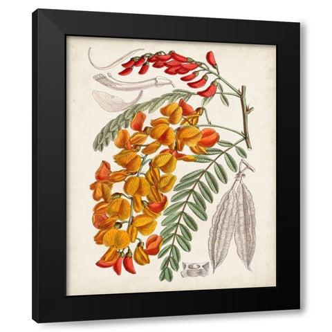 Delicate Tropicals IX Black Modern Wood Framed Art Print with Double Matting by Curtis