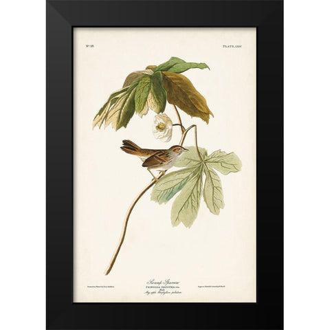 Pl. 64 Swamp Sparrow Black Modern Wood Framed Art Print by Audubon, John James
