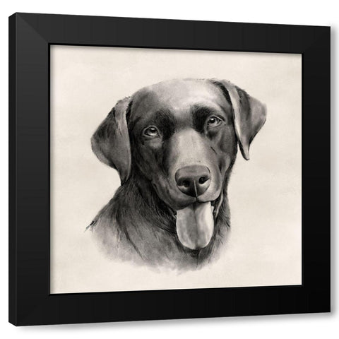 Charcoal Labrador I Black Modern Wood Framed Art Print with Double Matting by Popp, Grace