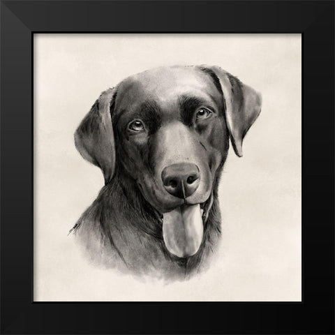 Charcoal Labrador I Black Modern Wood Framed Art Print by Popp, Grace