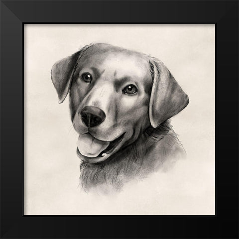 Charcoal Labrador II Black Modern Wood Framed Art Print by Popp, Grace