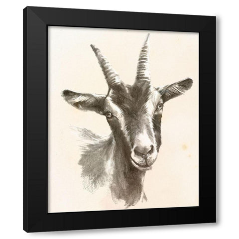 Sketched Farm Portraits II Black Modern Wood Framed Art Print by Parker, Jennifer Paxton