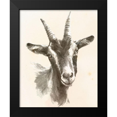 Sketched Farm Portraits II Black Modern Wood Framed Art Print by Parker, Jennifer Paxton