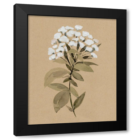 White Wildflower I Black Modern Wood Framed Art Print with Double Matting by Warren, Annie